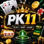 PK11 Game